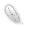 Drozd Design