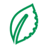 Terra Verde Macetas