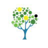 Teshuva Wellness (Jamaica)