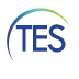 TES Therapy