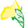 De Teunisbloem