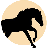 Horseback Adventures of Central Texas