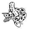 Texas Reptile Expos