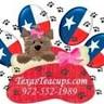 Teacup and Toy Pets Boutique Puppies & Designer Pet Supplies - Payment Plans Available