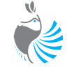 Texas Savings Insurance Agency
