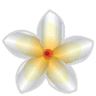 Thai Centar 