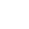 Thai Elephant 2