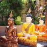 Thailaden Gärtnerei Oberholz Freinsheim
