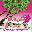 Thai Orchid Massage & Wellness