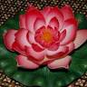 Thaise Massage Doetinchem