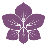 Tai massaaz - Thai Orchid SPA OÜ