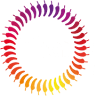 Thai Street Cafe