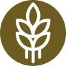 Harvest Church
