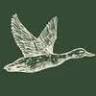 The Mallard Coffee Company