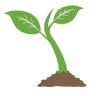 The Sprout Academy - St Pete
