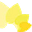 The Amayaa