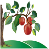 Apple Hill Academy Freehold