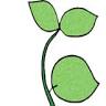 The Beanstalk Academy