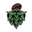 The Beerded Bean
