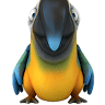 The Bird Shoppe