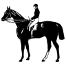 The Black Horse Gastropub