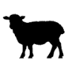 The Black Sheep Restaurant