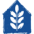 The Blue House