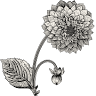 The Botanical Alchemist