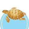 The Brass Turtle Lodge