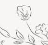 The Budding Florist
