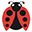 Bug's Ear LLC