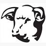 The Bull & Claw Donaghadee