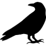The Burnished Raven