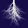 The Bur Oak