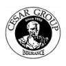 The Cesar Group Inc