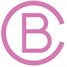 The Clever Baggers Ltd