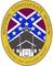 The National Confederate Museum at Historic Elm Springs