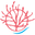 The Coral Shop
