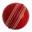 The Cornish Cricket Company ltd