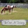 The Cove at Fairview