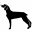 TheCraftyBlackDog
