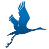 Crane Realty