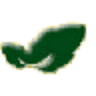 The Cutting Edge of Delaware Inc.