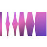 The Digital Picture