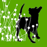 The Dog Clinic Hobart - Veterinary care exclusively for dogs