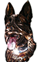 Phillips Command Dogs/The Dog Guy, NY LLC