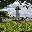 Estates of Fort Lauderdale Inc