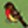 The Fabric Bird