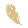 The Feather store
