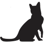 Feline Hospital